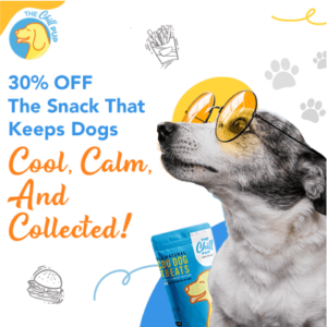 Kristina Alba_DFY Ads1